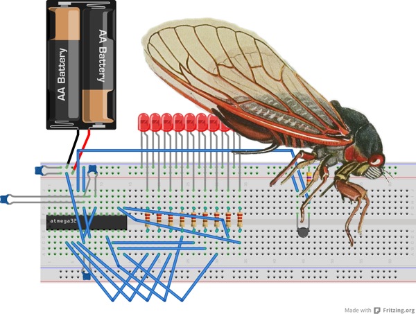 WNYC Cicada Tracker